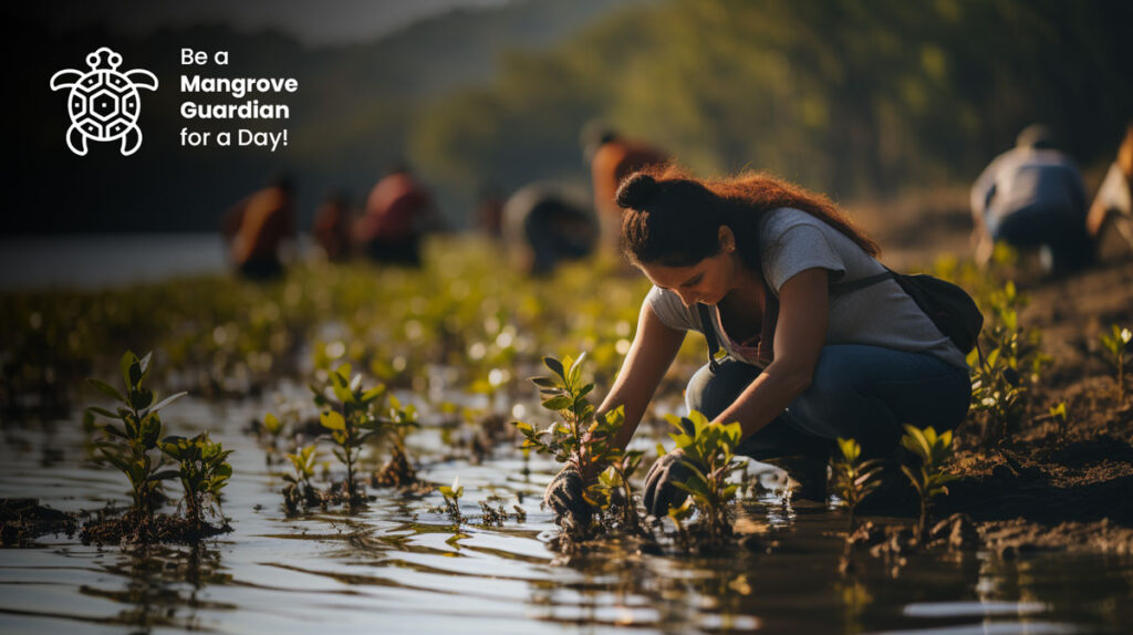 Be a Mangrove Guardian for a Day